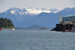 DSC_0079.JPG DSC_0079.JPG