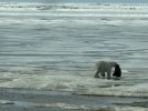 IMG_3855.jpeg