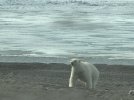 IMG_3846.jpeg