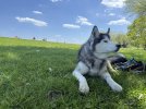 IMG_8764.jpeg