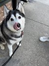 IMG_8607.jpeg