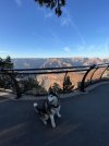 IMG_2321.jpeg