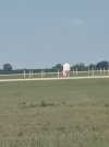 IMG_20260802_114808726.jpg