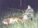 deer.jpg