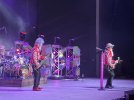 IMG_1864.jpeg