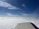 IMG_9254.jpeg