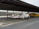 IMG_1868.jpeg