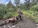 IMG_4787.jpeg