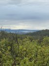 IMG_4782.jpeg