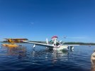 N155JK-Sitting with Cub-Floating.jpeg