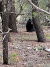 IMG_4826.jpeg