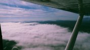 fog.jpeg fog.jpeg