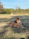 IMG_2210.jpeg