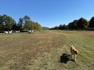 IMG_2180.jpeg