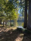 IMG_2168.jpeg