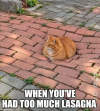 1792951567087.png