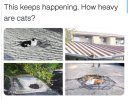 Correlation.vs.Causation.jpg
