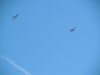 Picture 040-small.jpg
