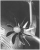 4219-322.jpg