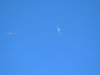 Libelle release-small.jpg