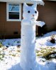 cat-snowman-christmas-snow-man-kitty-merry-santa.jpg