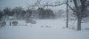 Feb snow sm IMG_0116.jpg
