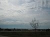 Photo 002-small.jpg