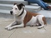 Jake IMG_0182 sm.jpg