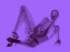 101127xrays2.jpg