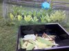 IMG_20110710_193453.jpg
