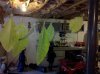 IMG_20110710_202402.jpg