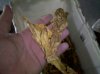 IMG_20110730_154425.jpg