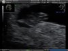 7 WEEKS_3.JPG