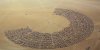 237497928-aerial-burning-man-black-rock-city-nevada-500x250.jpg