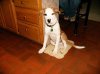 Shirley's 1st day home 10-4-11 (small).jpg