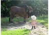 kidandbull.jpg