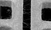 TinWhiskers460x276.jpg