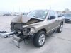 RAM1.jpg