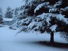 DSCN2416.JPG