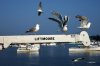 Vinalhaven - Carver's Harbor.JPG