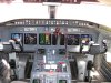 BirdStrike.2.jpg