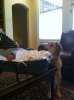 baby2.jpg