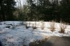 Winter February 22, 2012 -2.JPG