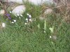 DSCN2474.JPG