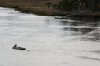 PoA Back River float.JPG