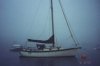 Norsea 27.jpg Norsea 27.jpg