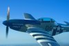 P51.JPG