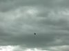 DSCN0120.JPG