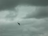 DSCN0126.JPG