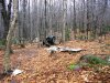 PA310824 (600 x 450).jpg